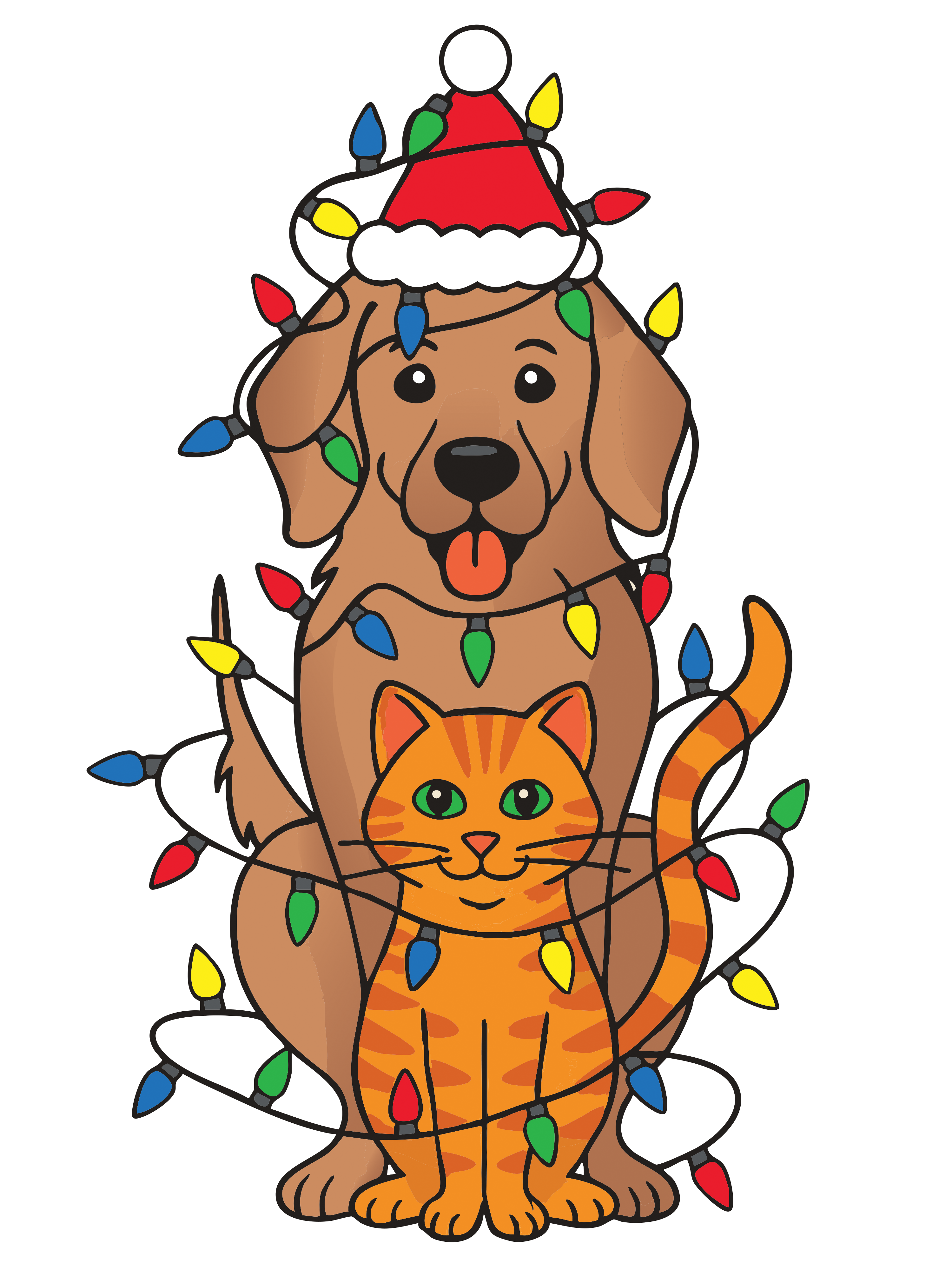 Lights 4 Paws